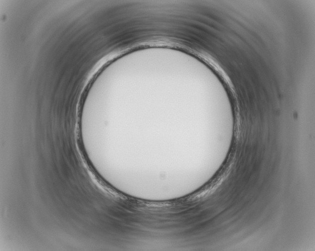 X0000085840845200704132101