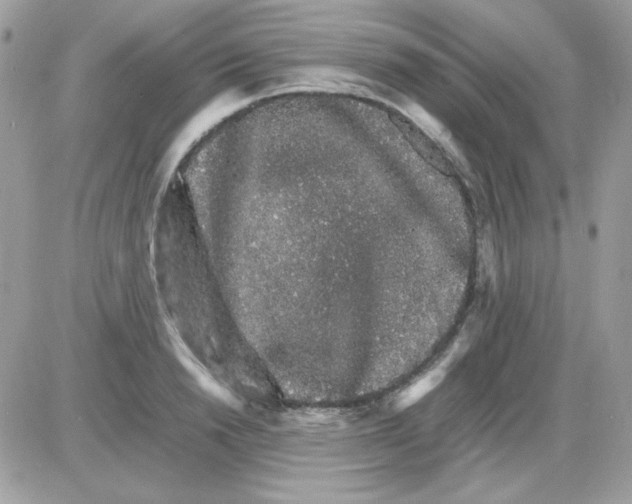 X0000085840846200704132101