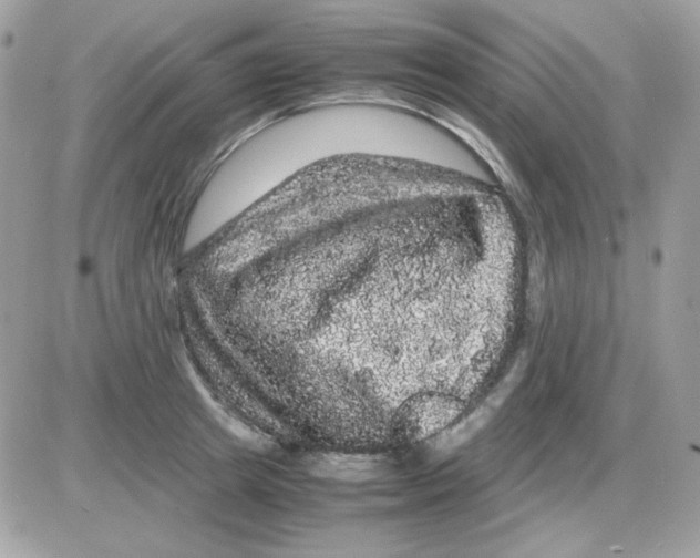 X0000085840849200704132101