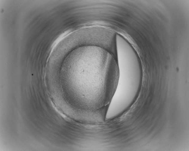 X0000085840850200704132101