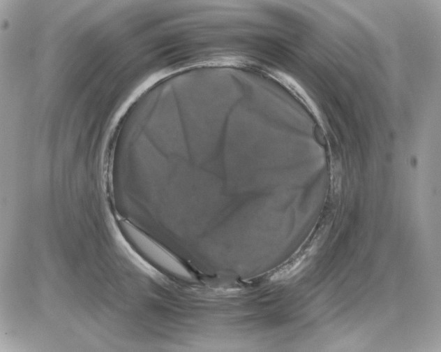 X0000085840851200704132101