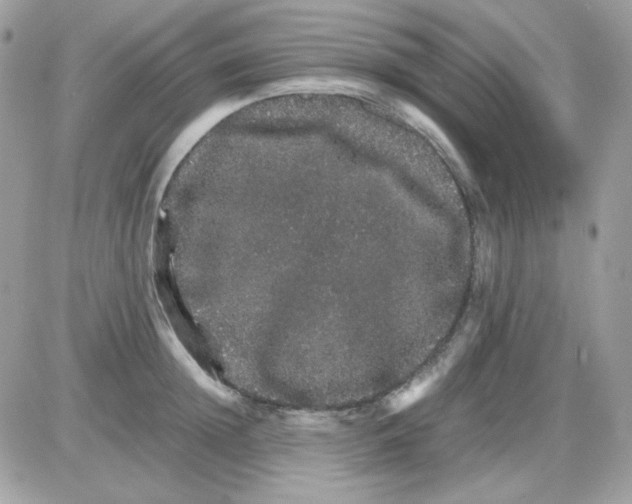 X0000085840852200704132101