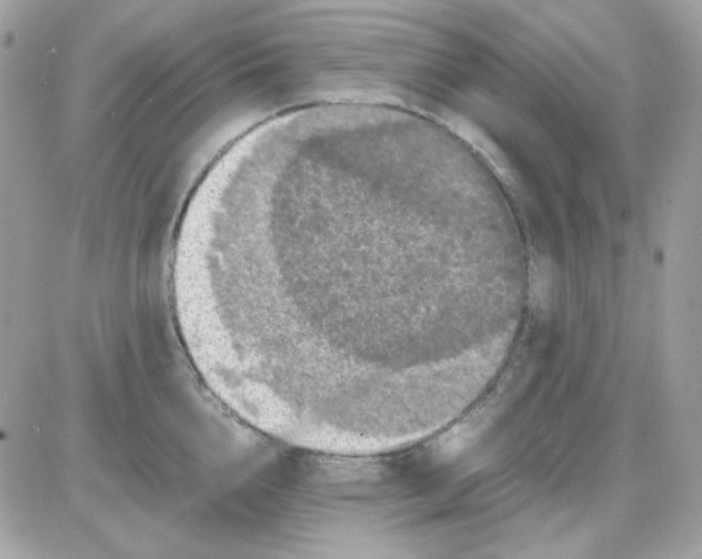 X0000085840856200704132101