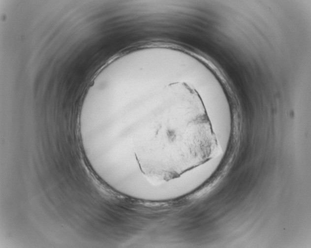 X0000085840857200704132101