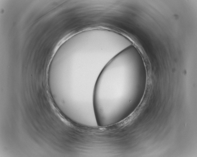 X0000085840858200704132101