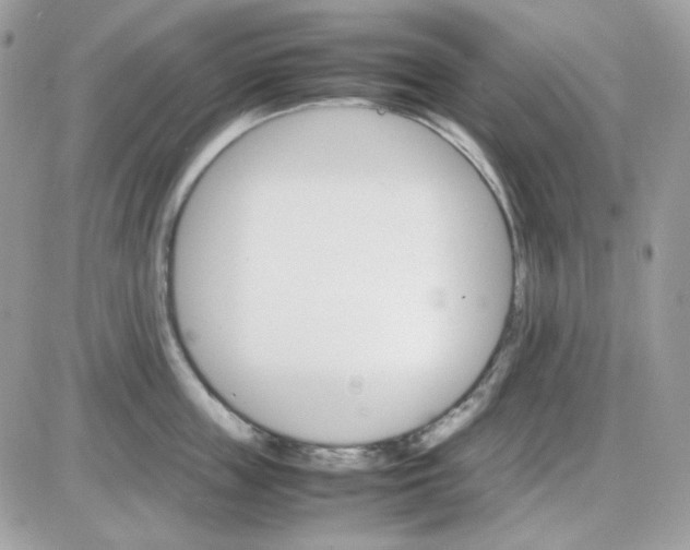 X0000085840859200704132101