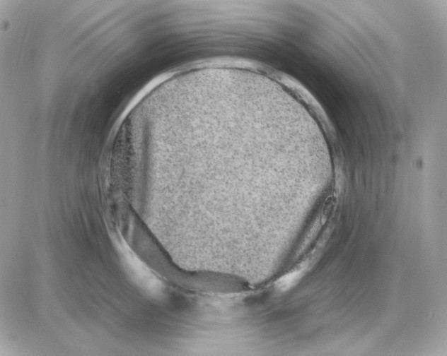 X0000085840860200704132101