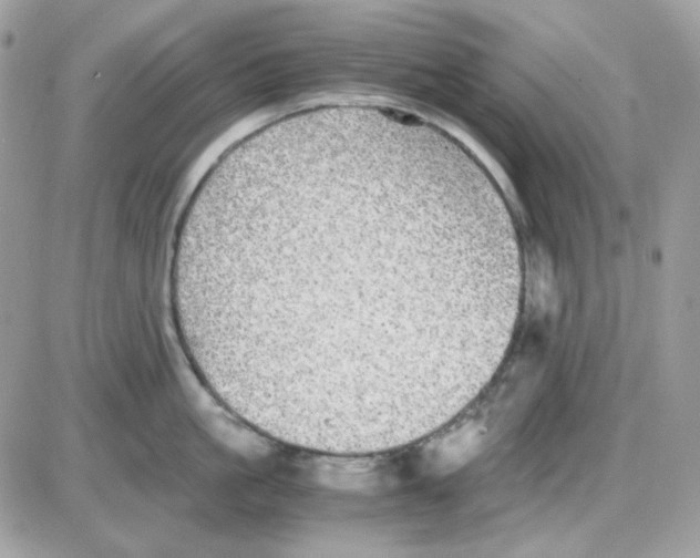 X0000085840861200704132101