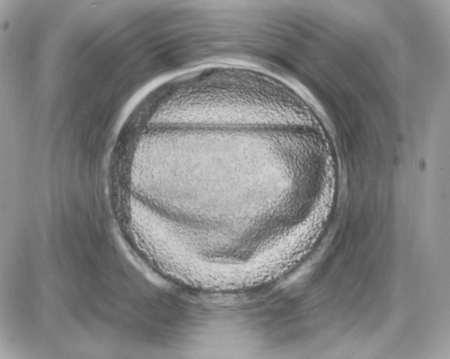 X0000085840862200704132101