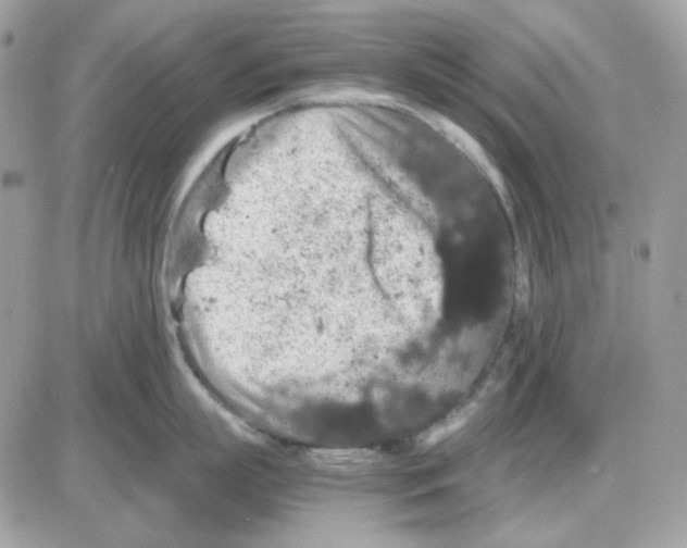 X0000085840863200704132102