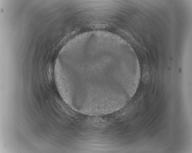 X0000085840866200704132101