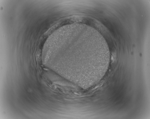 X0000085840867200704132101