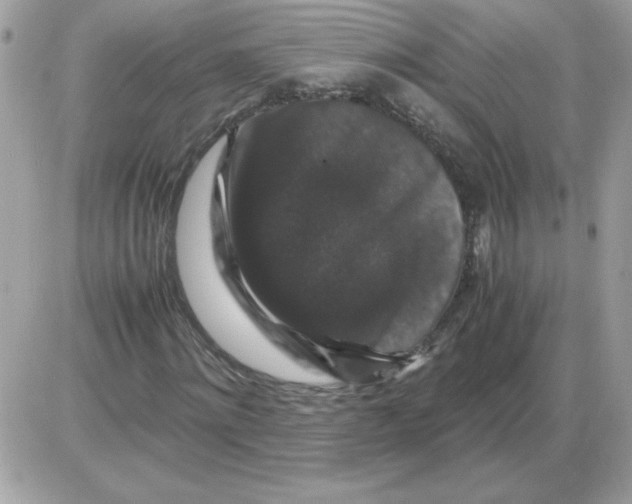 X0000085840868200704132101