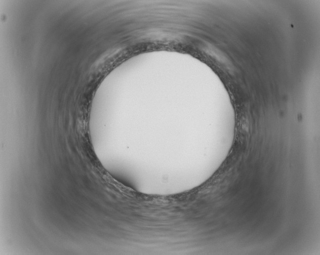 X0000085840869200704132101