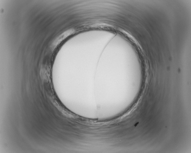 X0000085840873200704132101