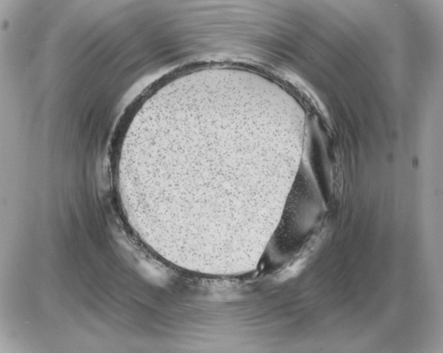 X0000085840876200704132100