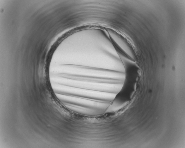 X0000085840880200704132100