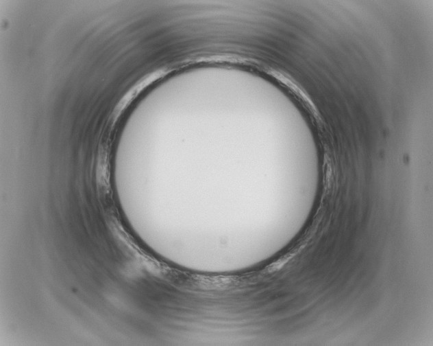 X0000085840882200704132100