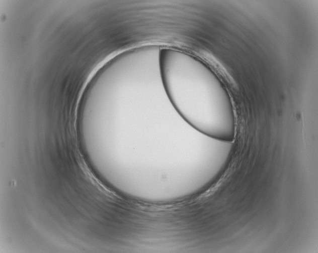 X0000085840884200704132100