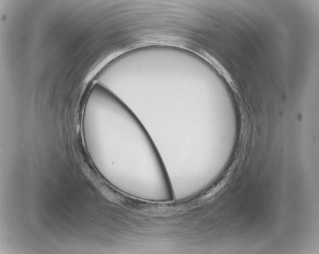 X0000085840885200704132100