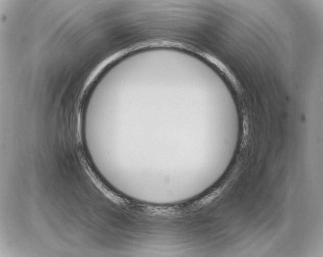 X0000085840886200704132100