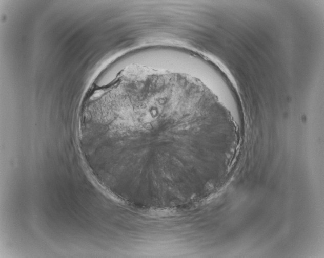 X0000085840887200704132100