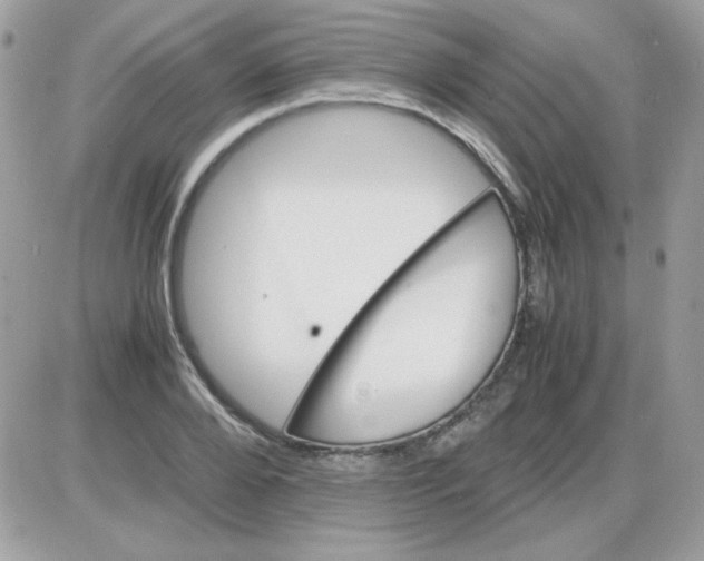 X0000085840888200704132100