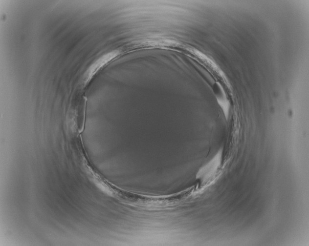 X0000085840889200704132100