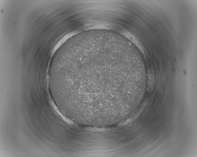 X0000085840890200704132100