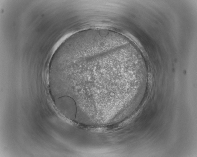 X0000085840891200704132100