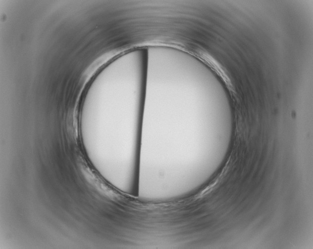 X0000085840892200704132100