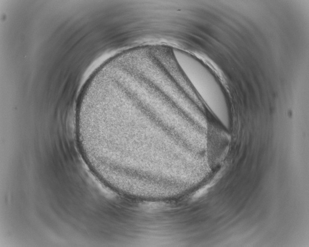 X0000085840894200704132100