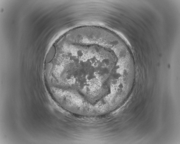 X0000085840895200704132100