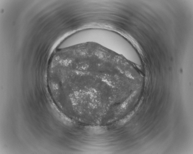 X0000085840896200704132100