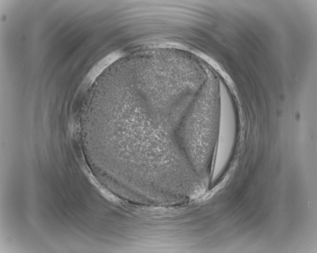 X0000085840897200704132100