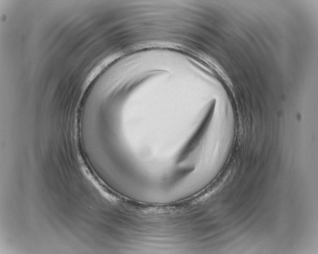 X0000085840898200704132100