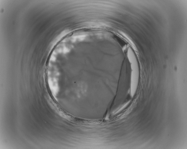 X0000085840899200704132100