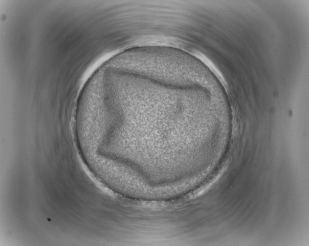 X0000085840901200704132100