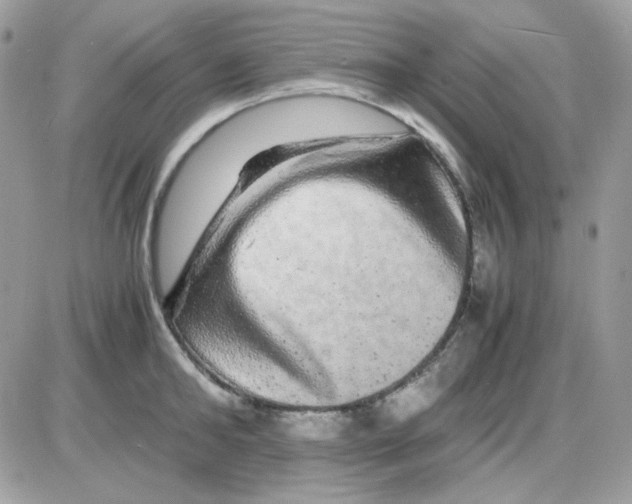 X0000085840902200704132100