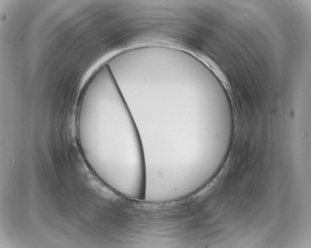 X0000085840904200704132100