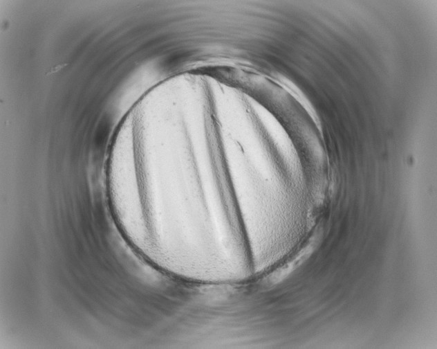 X0000085840906200704132100