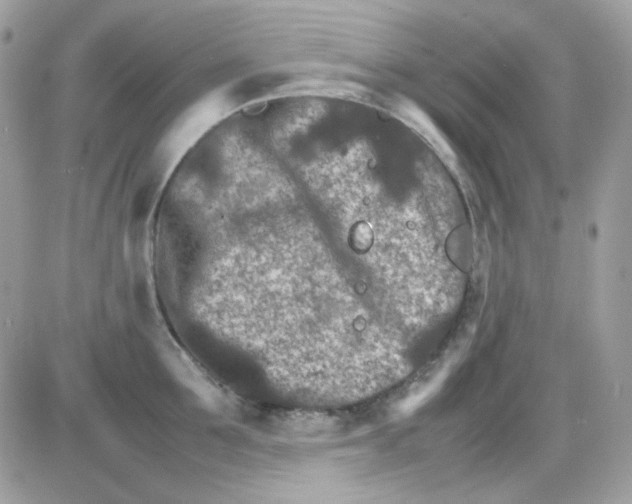 X0000085840907200704132100