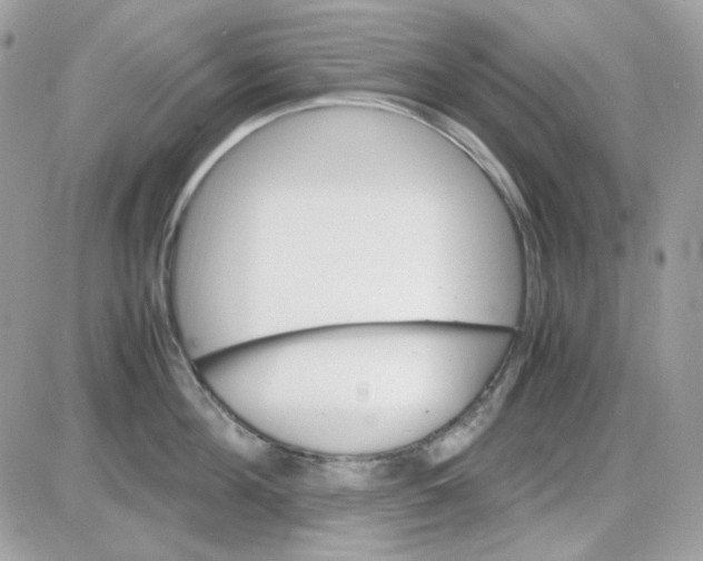 X0000085840908200704132100