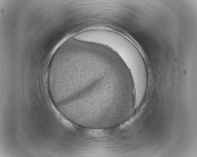 X0000085840909200704132100