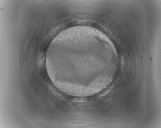 X0000085840914200704132059