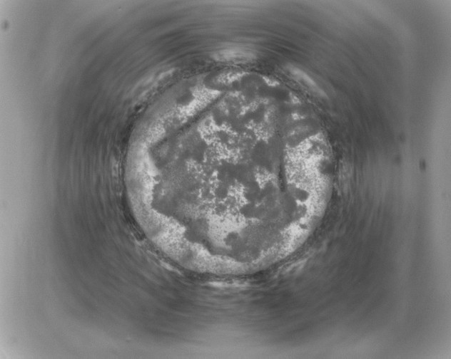 X0000085840917200704132059