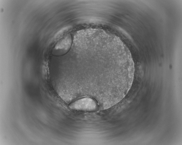 X0000085840918200704132059