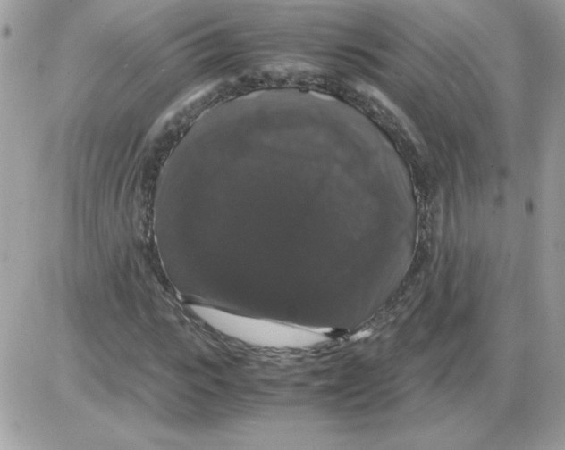 X0000085840919200704132059