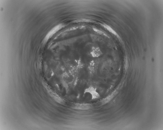 X0000085840921200704132059