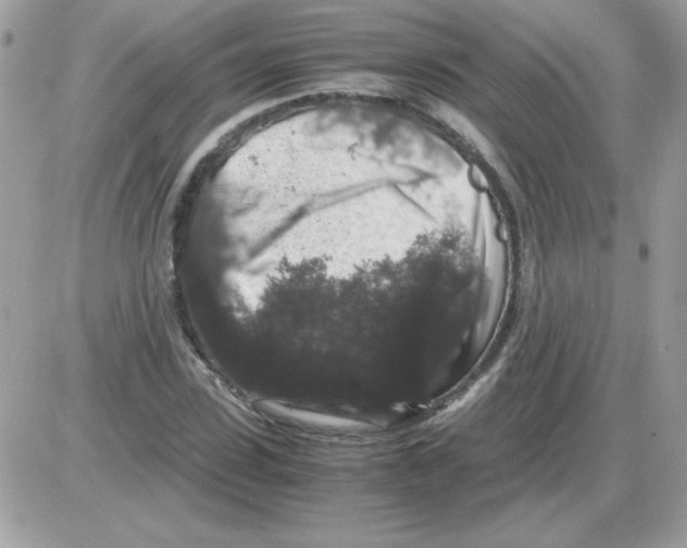 X0000085840923200704132059